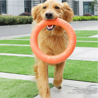 Interactive Flying Disk for Happy Dogs™