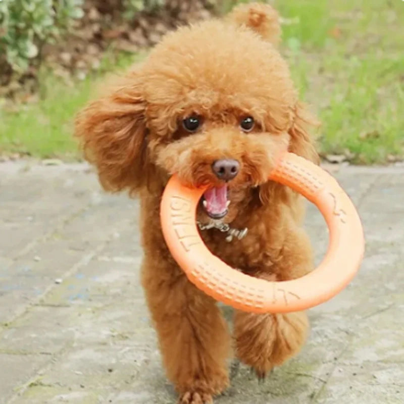 Interactive Flying Disk for Happy Dogs™