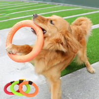 Interactive Flying Disk for Happy Dogs™