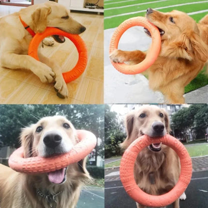 Interactive Flying Disk for Happy Dogs™