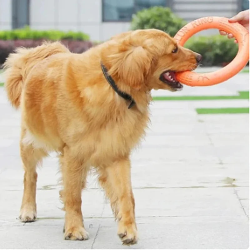 Interactive Flying Disk for Happy Dogs™